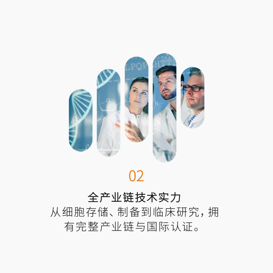 全球化研发体系